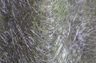 Tenandry fibreglass roof work